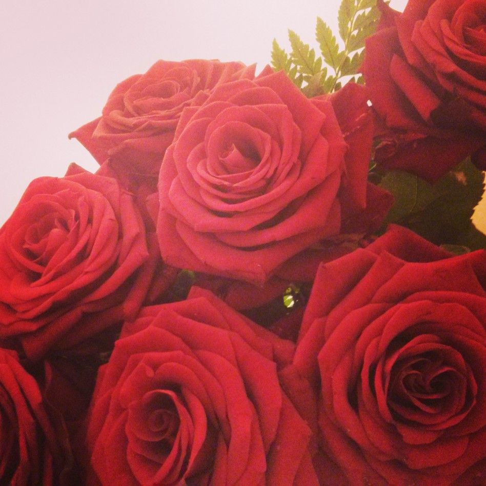 des roses rouges pour la St Valentin